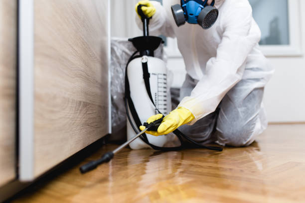 Best Pest Control Treatment  in Worcester, MA