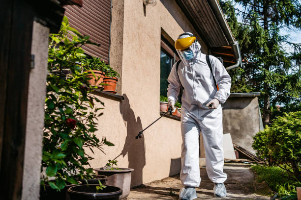 Best Pest Inspection Near Me  in Worcester, MA