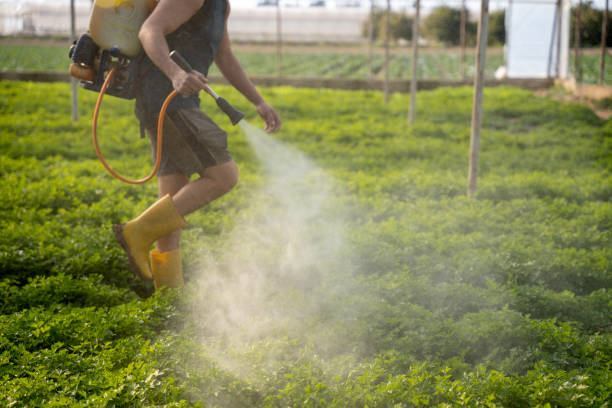 Best Mosquito Control Services  in Worcester, MA