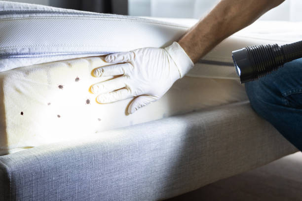 Best Best Pest Control Companies  in Worcester, MA