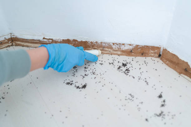 Best Commercial Pest Control Services  in Worcester, MA